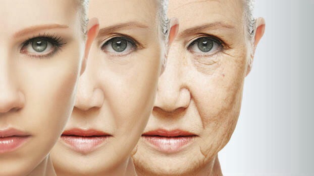 bioimpedancia unimed curitiba